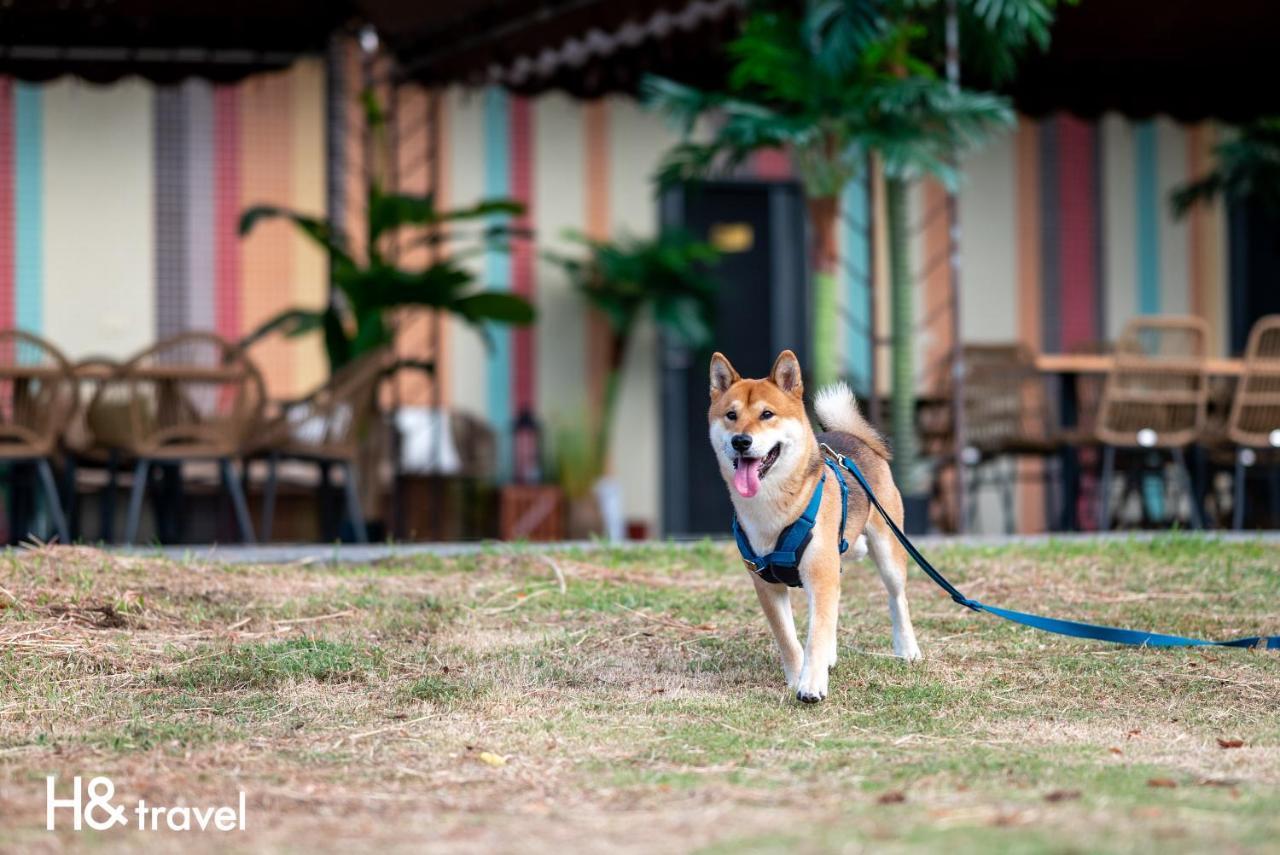 Taitung Rainbow Pet Friendly Maison Resort מראה חיצוני תמונה