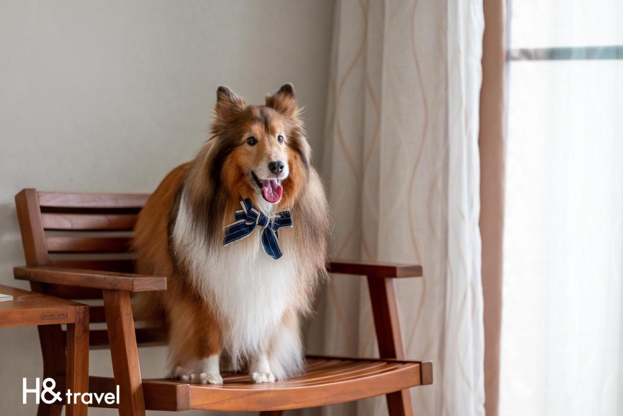 Taitung Rainbow Pet Friendly Maison Resort מראה חיצוני תמונה