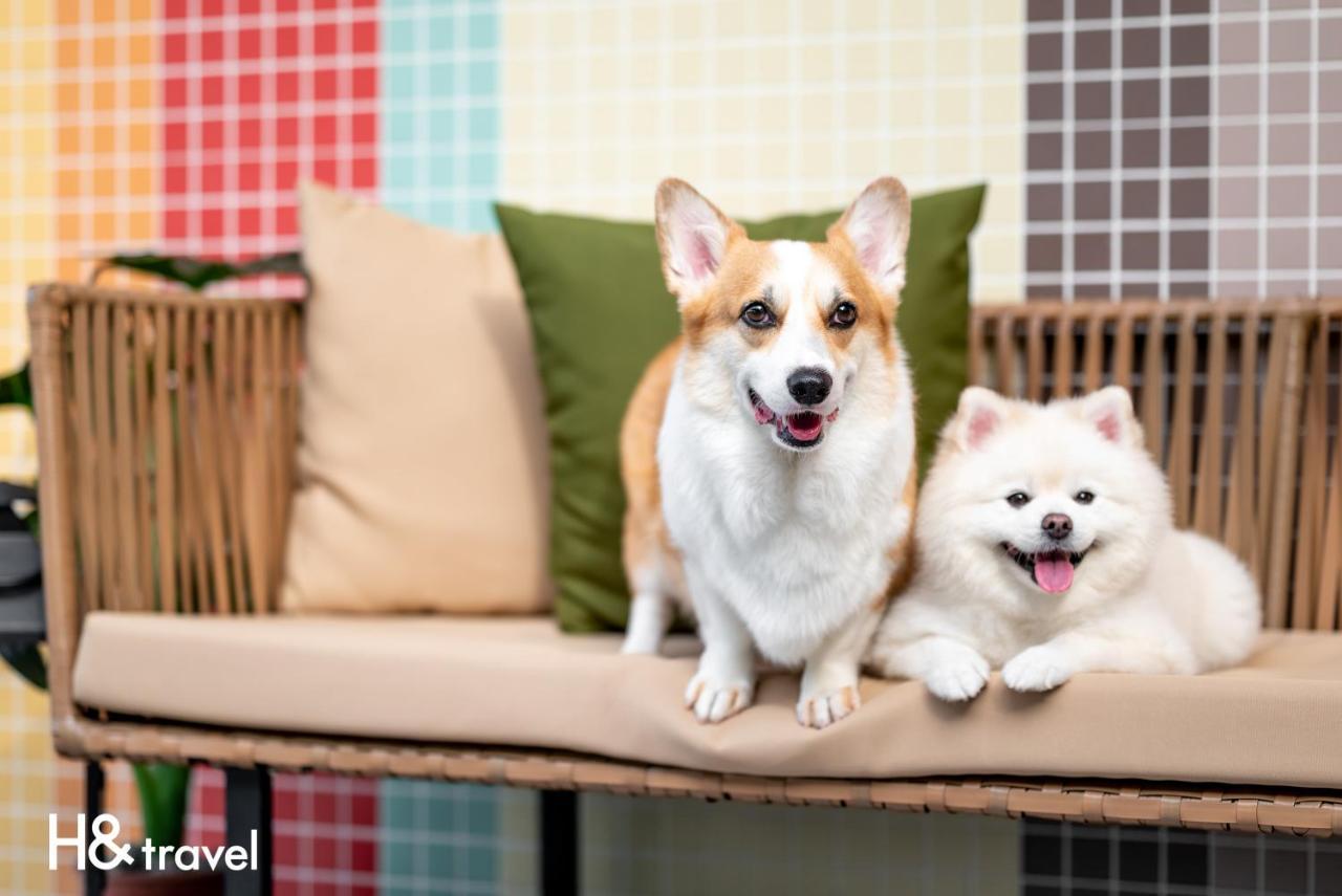 Taitung Rainbow Pet Friendly Maison Resort מראה חיצוני תמונה