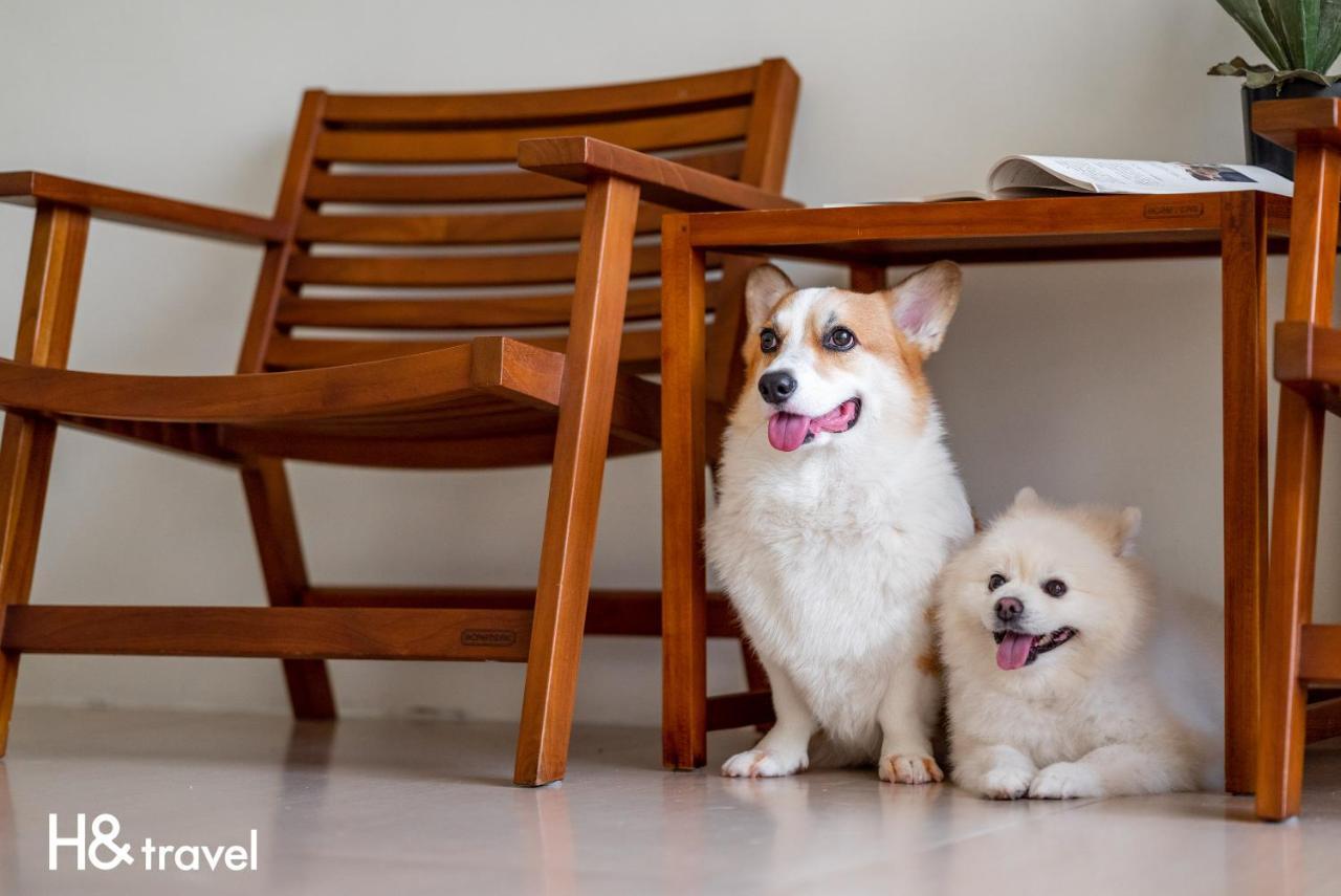 Taitung Rainbow Pet Friendly Maison Resort מראה חיצוני תמונה