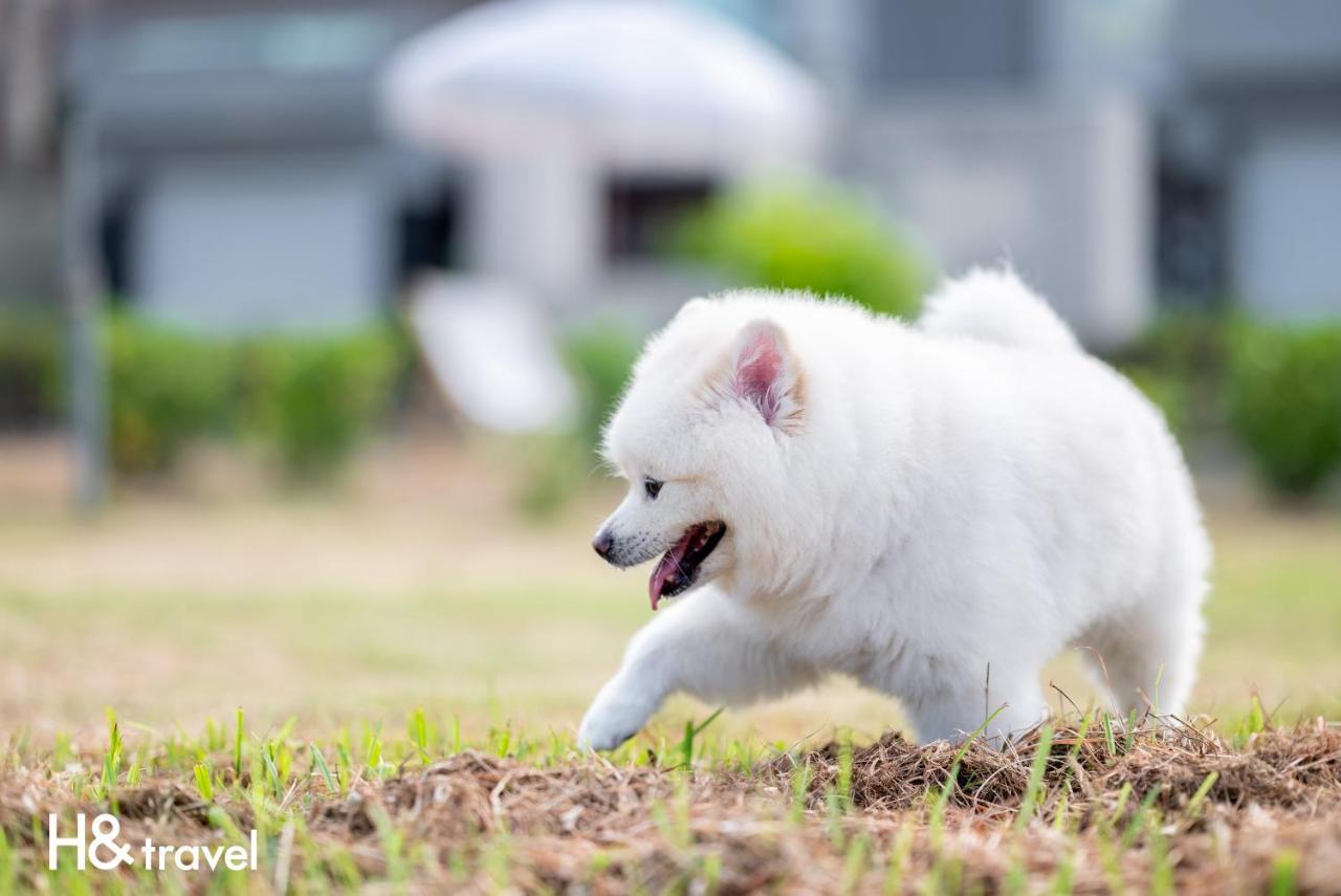 Taitung Rainbow Pet Friendly Maison Resort מראה חיצוני תמונה