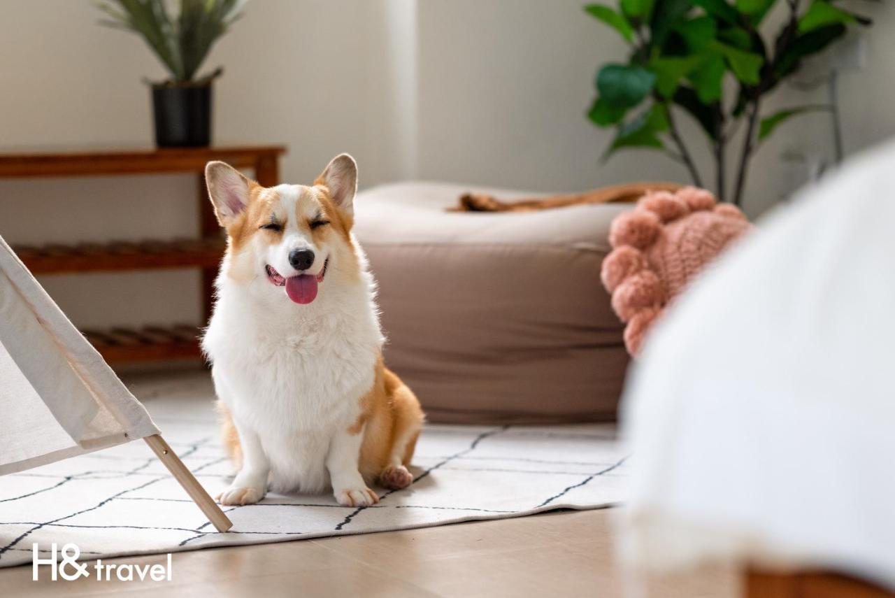 Taitung Rainbow Pet Friendly Maison Resort מראה חיצוני תמונה