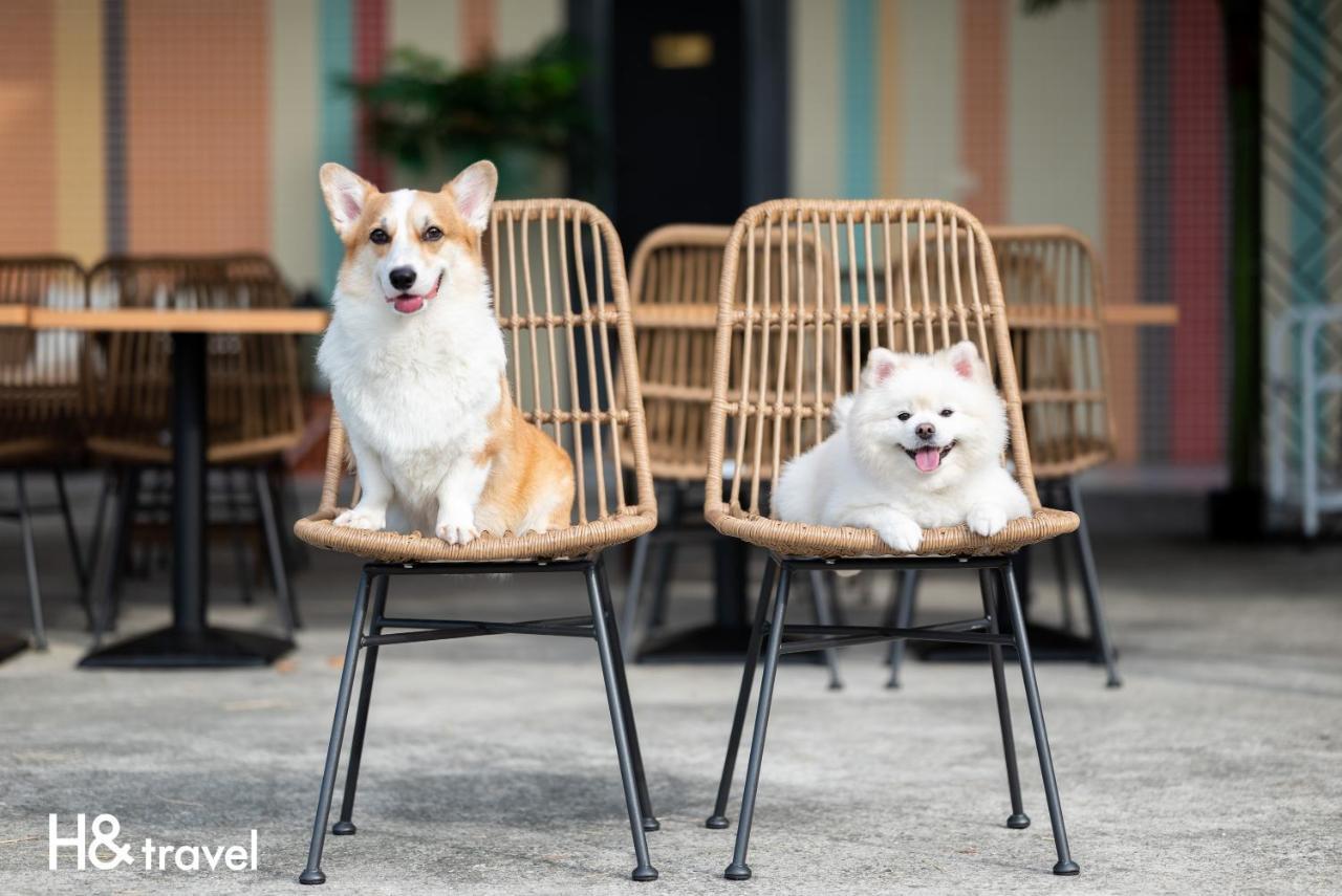 Taitung Rainbow Pet Friendly Maison Resort מראה חיצוני תמונה
