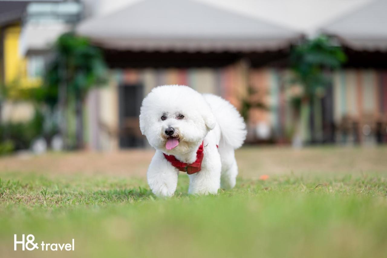 Taitung Rainbow Pet Friendly Maison Resort מראה חיצוני תמונה