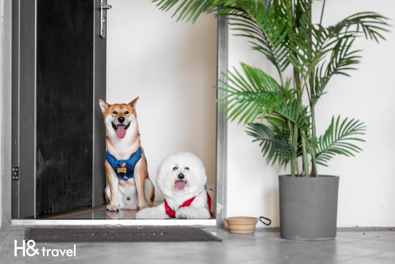 Taitung Rainbow Pet Friendly Maison Resort מראה חיצוני תמונה