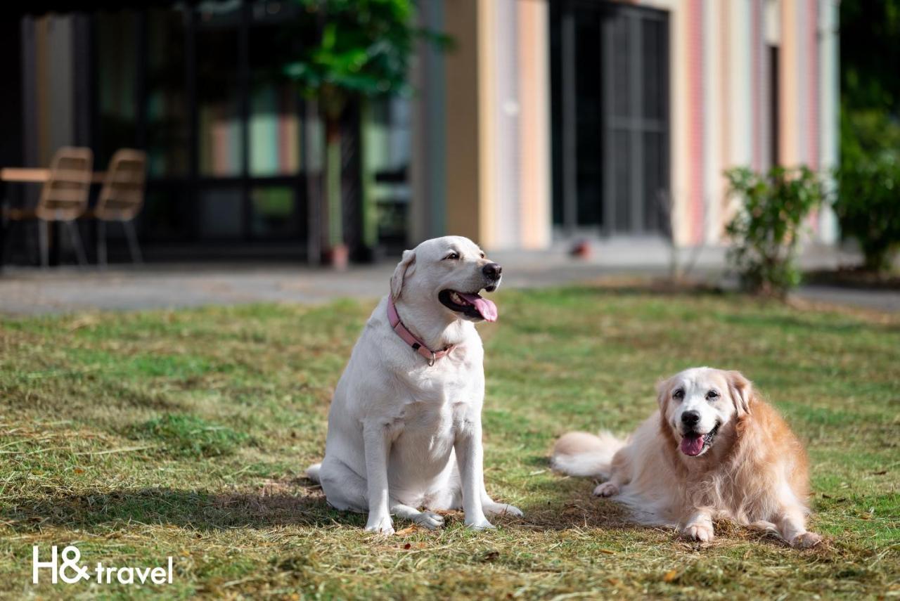 Taitung Rainbow Pet Friendly Maison Resort מראה חיצוני תמונה