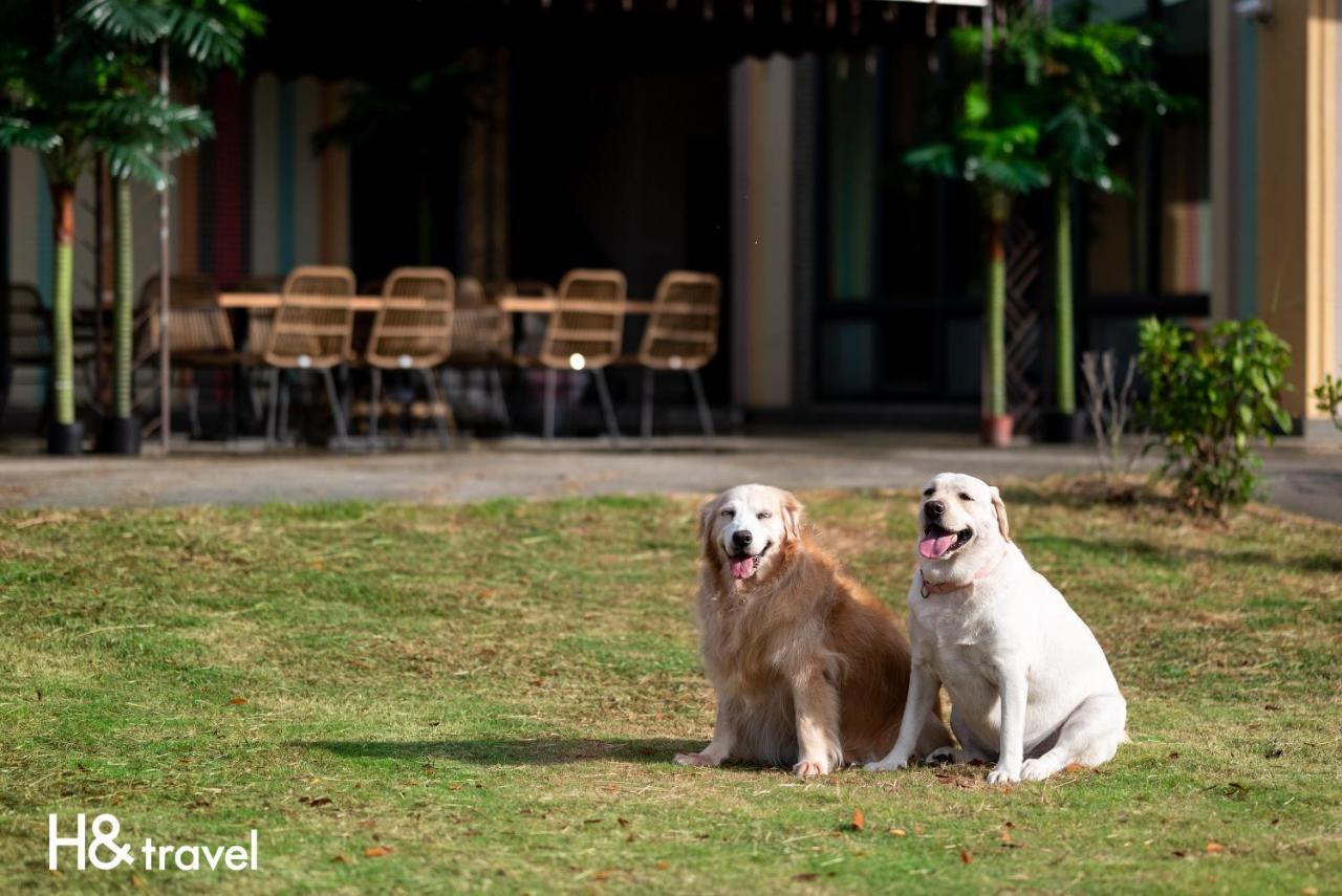 Taitung Rainbow Pet Friendly Maison Resort מראה חיצוני תמונה